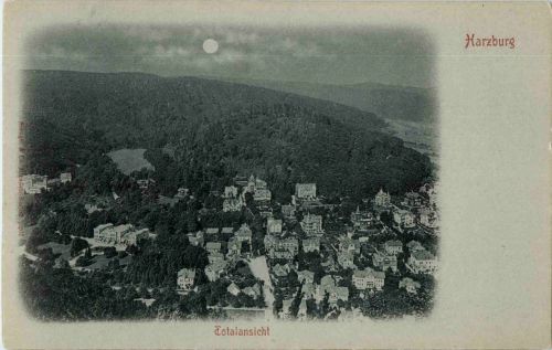 Harzburg - Totalansicht