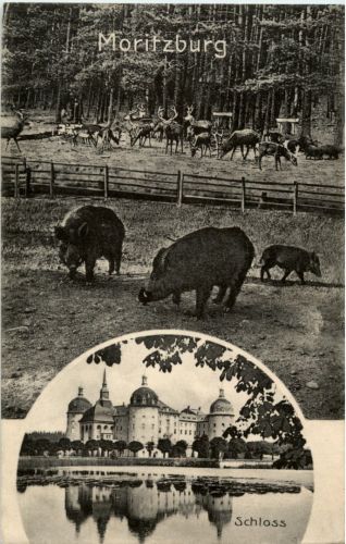 Mortizburg - Schloss