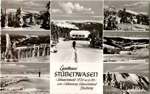 Gasthaus Stubenwasen - Todtnauberg