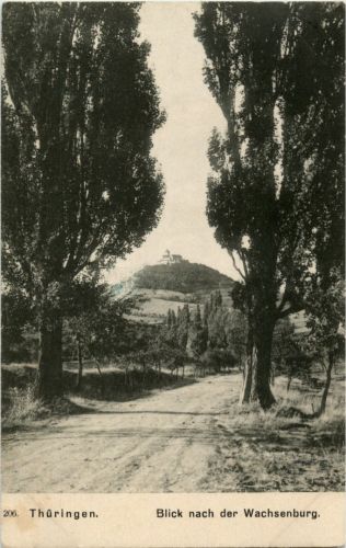 Blick nach der Wachsenburg