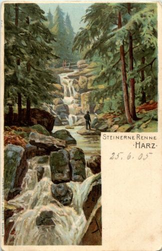 Steinerne Renne - Harz - Litho