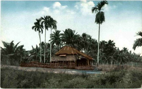 Native Home Philippines