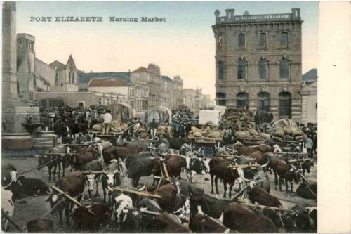 Port Elizabeth - Morning Market - South Africa