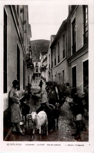 Malaga - The Milkman - Ziege Goat