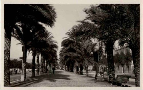 Palma de Mallorca - Paseo de Sagrera