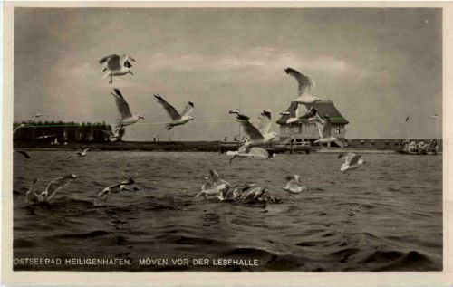 Ostseebad Heiligenhafen - Möwen vor der Lesehalle