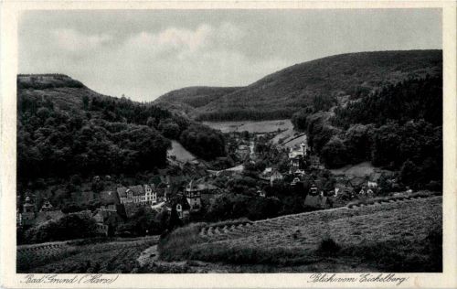 Bad Grund - Blick vom Eichelbeg