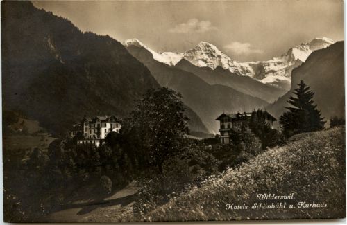 Wilderswil - Hotel Schönbühl