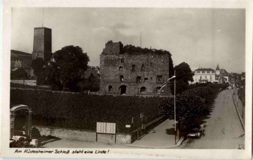 Am Rüdesheimer Schloss steht eine Linde