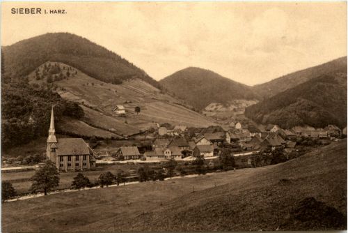 Sieber im Harz