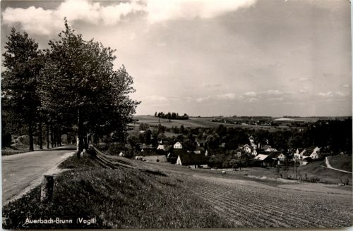 Auerbach-Brunn