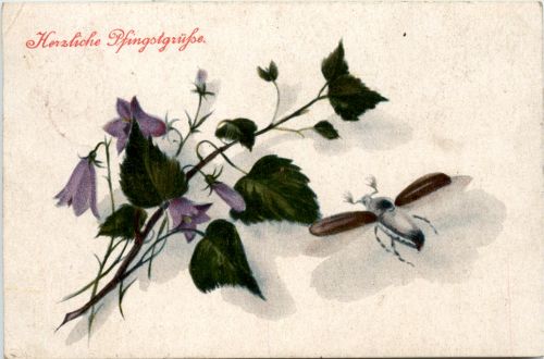 Pfingsten - Maikäfer