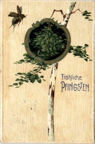 Pfingsten - Maikäfer