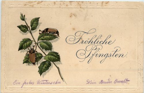 Pfingsten - Maikäfer