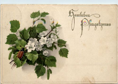 Pfingsten - Maikäfer