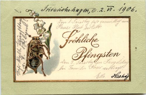 Pfingsten - Maikäfer