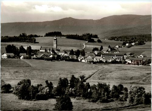 Drachselsried - Hotel Faltr