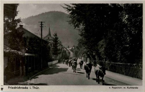 Friedrichroda - Papenstrasse mit Kuhherde