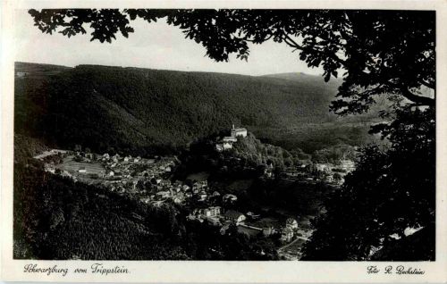 Schwarzburg vom Trippstein