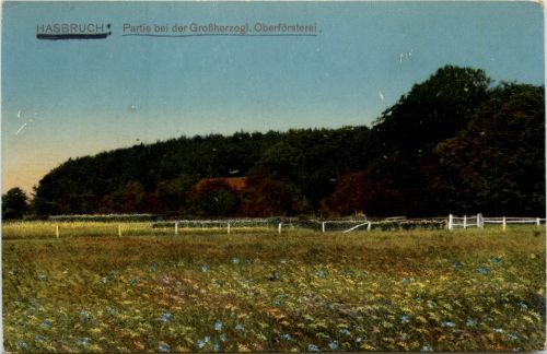 Hasbruch - Partie an der Oberförsterei