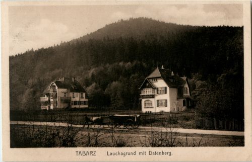 Tabarz - Lauchagrund mit Datenberg