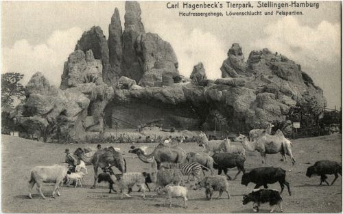 Carl Hagenbecks Tierpark Stellingen - Polarbear