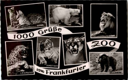 Grüsse aus dem Frankfurter Zoo