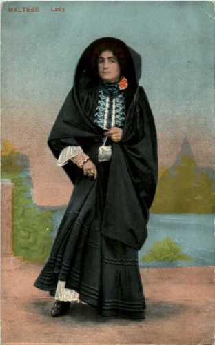 Maltese - Lady