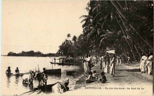 Batticaloa - On the lake shore