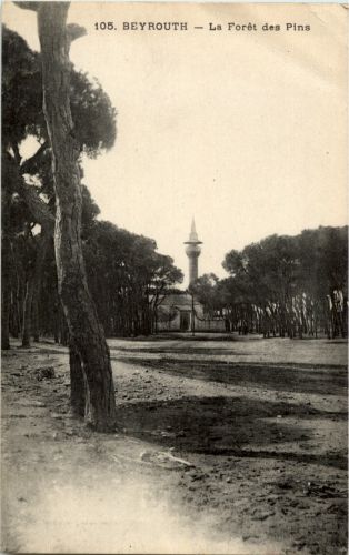Beyrouth - Le Foret des Pins