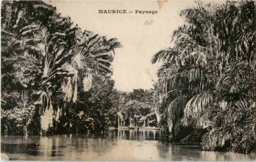 Maurice - Paysage