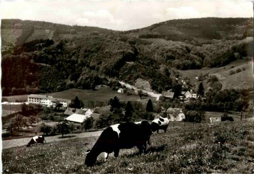 Eiterbach Odenwald