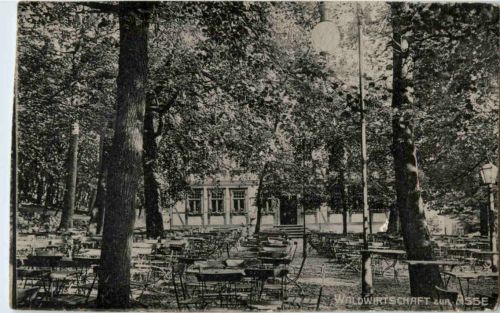 Waldwirtschaft zur Asse - Wittmar
