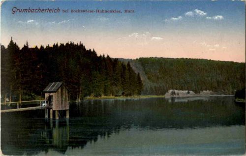 Grumbacherteich bei Bockswiese-Hahnenklee