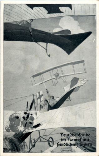 Deutsche Taube im Kampf