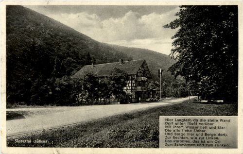 Wald-Hotel zum Paradies - Siebertal - Südharz