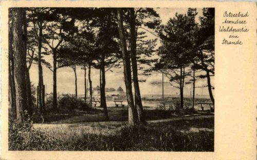 Ostseebad Arendsee - Waldpartie am Stande
