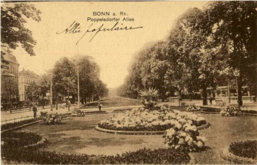 Bonn - Poppelsdorfer Allee