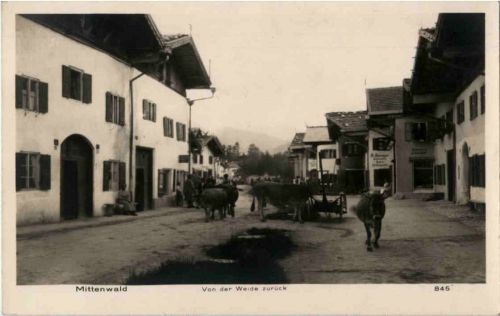 Mittenwald - Von der Weide zurück