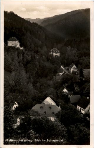Wirsberg - Blick ins Schorgasttal