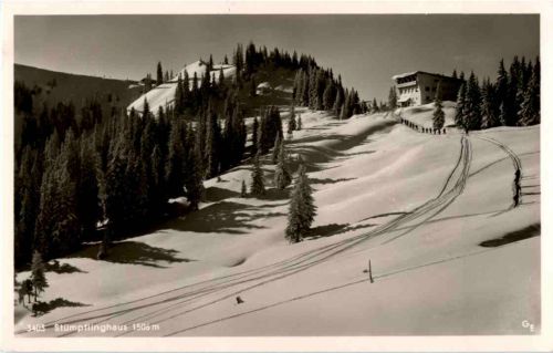 Stümpflinghaus - Ski
