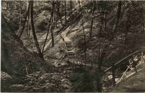 Buckow - Silberkehle