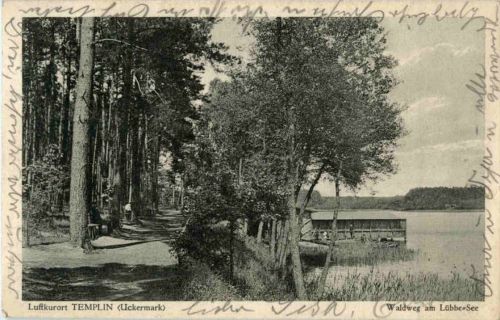 Templin - Waldweg am Lübbe-See