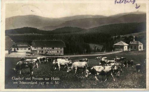 Gasthof zur Halde am Schauinsland