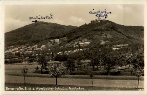 Bergstrasse - Auerbacher Schloss und Melibokus
