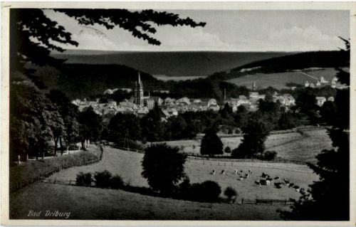 Bad Driburg