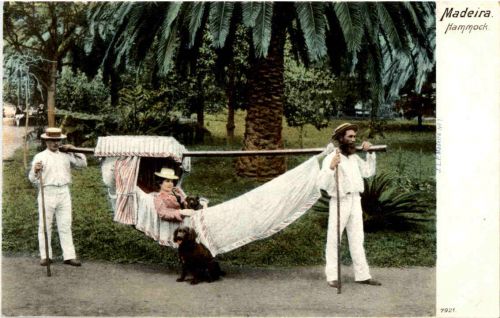 Madeira - Hammock