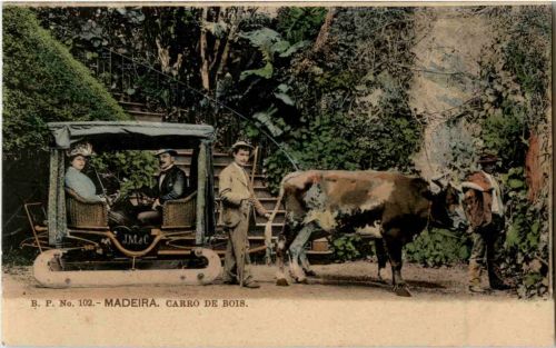 Madeira - Carro de Bois