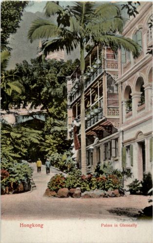 Hongkong - Palms in Gleneally