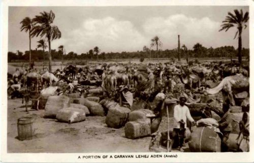 Aden - Caravan Lehej - Jemen